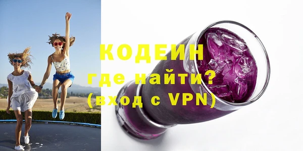 прущие грибы Дмитров