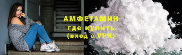 прущие грибы Дмитров