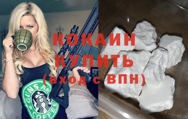 PSILOCYBIN Дмитриев