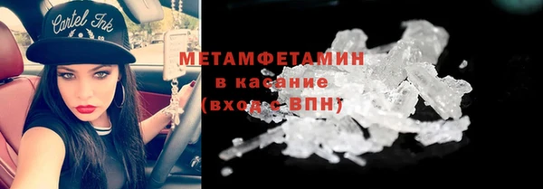 прущие грибы Дмитров