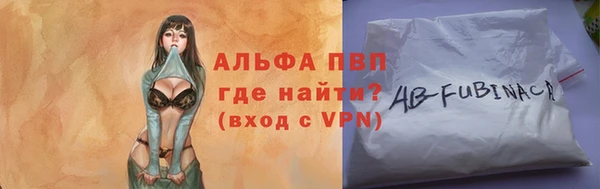 PSILOCYBIN Дмитриев