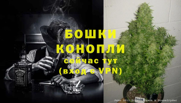 PSILOCYBIN Дмитриев