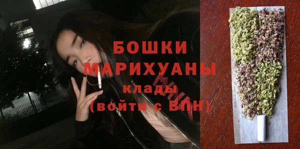 прущие грибы Дмитров