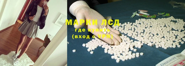 PSILOCYBIN Дмитриев