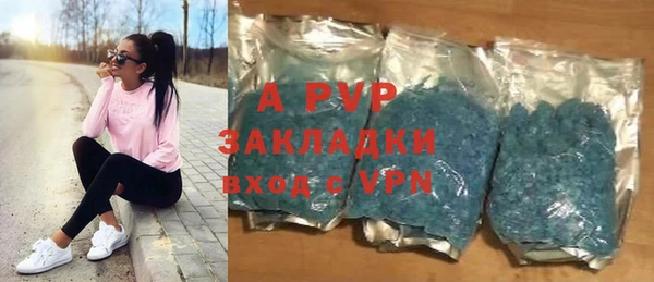 прущие грибы Дмитров