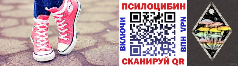 Псилоцибиновые грибы Psilocybe  Купить  Новосокольники 